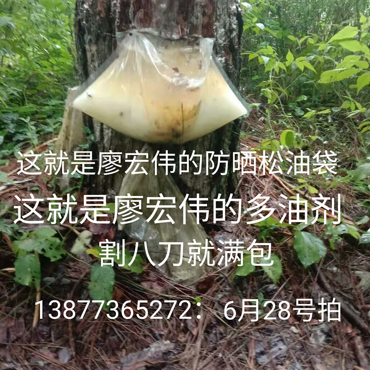 松油袋